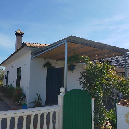 Alojamiento Rural La Perdiz La Puebla de los Infantes Exteriér fotografie