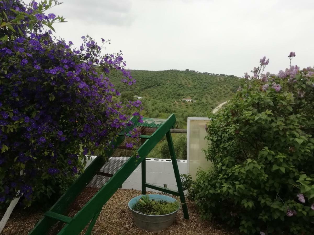 Alojamiento Rural La Perdiz La Puebla de los Infantes Exteriér fotografie
